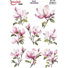 İstanbul Hobi Açık Zemin Sulu Transfer (25 * 35 Cm) St 770