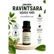 Aliye's Planet %100 Organik Ravintsara Yağı – Cilt & Saç Bakımı - Yoga, Meditasyon & Aromaterapi
