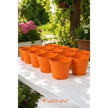Veniv 10 Adet Dekoratif Renkli Delikli Saksı - Genel Kullanım- Fide- Çoğaltma 8.5 cm