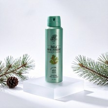 Rebul Pine Forest Erkek Sprey Deodorant 150 ml - 48 Saat Etkili, Alkol, Tam Koruma
