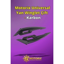 Universal Yan Winglet Çift - Karbon