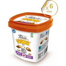 Felicia Crunch Beauty Kedi Ödülü 100 gr 6'lı