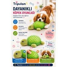 Tripulam Kaplumbağa Şekilli Dikenli Köpek Oyuncağı – Diş Temizleyici Dayanıklı Çiğneme Oyuncağı