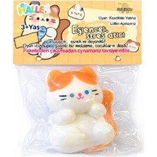 Sahra Eğlenceli Stres Atıcı Sukuşi Slime Kedi Poşette