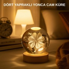 MiraLive USB Bağlantılı Yonca Bitkili Cam Küre Ahşap Altlıklı Dekoratif Lamba