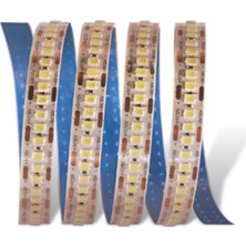 Cata Gold 12V240 Çipli 6400K Beyaz Işık Şerit LED Iç Mekan 4538B (1 METRE)