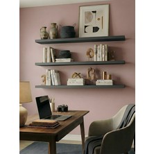 Empressco Free Home Premium Mdf Ürün Gizli Montajlı Uçan Raf 100X15 - 3 Adet Antrasit Kitaplık Mutfak Banyo Salon Rafı - Fiyatı, Yorumları