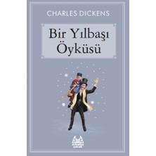 Aycer Bir Yılbaşı Öyküsü