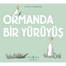 Aycer Ormanda Bir Yürüyüş