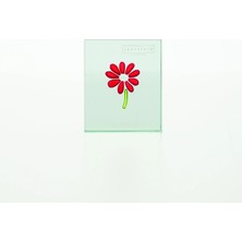 Spaceform Dekoratif Obje-Cam