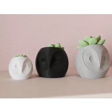 Dekoratif Baykuş 3'lü Set Saksılar 8-10-12CM