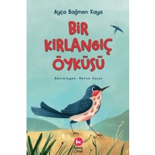 Aycer Bir Kırlangıç Öyküsü