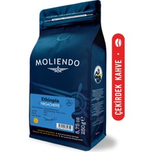 Moliendo Ethiopia Yirgacheffe Yöresel Kahve (Çekirdek Kahve) 250 g