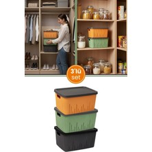 Empressco Flora 3