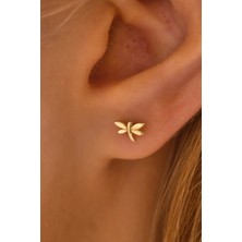 Moom Mücevherat 14 Ayar Altın Vidalı Yusufcuk Tragus Küpe