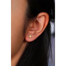 Moom Mücevherat 14 Ayar Altın Küpe Vidalı Yıldız Küpe 6 mm