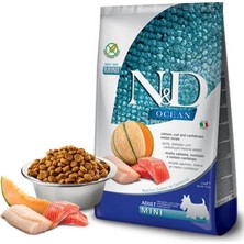 Negok N&amp;d Ocean Somonlu Morina Balıklı ve Kavunlu Küçük Irk Tahılsız Yetişkin Köpek Maması 2,5 kg