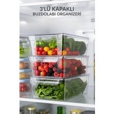 Okyanus Home 3'lü Kapaklı Şeffaf Buzdolabı Organizeri 4500 ml Çok Amaçlı Kullanım ve Sızdırmaz Tasarım