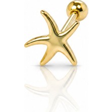 Nur Silver Deniz Yıldızı Çelik Tragus Küpe NUR-KE03389