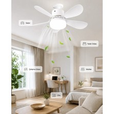 Cata Cata Lodos Fan LED 62W CT-1154 Kumandalı Işıklı Vantilatör