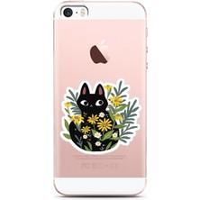 Spoyi Iphone 5/5s/se Cat Sticker Tasarımlı Süper Şeffaf Telefon Kılıfı