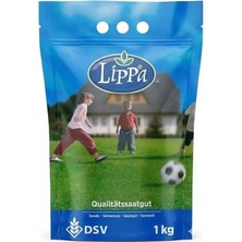 Dsv Lippa 6 Mix Çim Tohumu 1Kg