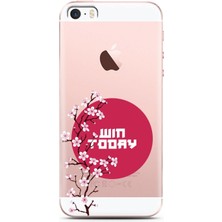 Spoyi Iphone 5/5s/se Sakura Today Tasarımlı Süper Şeffaf Telefon Kılıfı