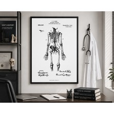 Pegziz Anatomik Iskelet Sistemi Patent Çizimi Tablo Duvar Dekor Tablo