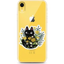 Spoyi Iphone Xr Cat Sticker Tasarımlı Süper Şeffaf Telefon Kılıfı