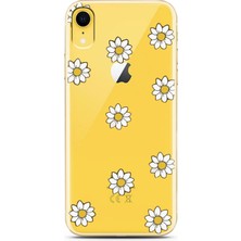 Spoyi Iphone Xr Daisy Rare Tasarımlı Süper Şeffaf Telefon Kılıfı