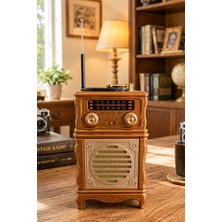Blackbird Game Center Feexot FX-2502B Retro Nostaljik Radyo - Bluetooth Hoparlör, Usb, Tf Kart, Aux Girişli Şarjlı Radyo