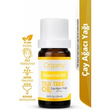 Akne Karşıtı Çay Ağacı Yağı %100 Doğal Akneye Eğilimli Cilt Bakım Yağı Tea Tree Essential Oil 10 ml