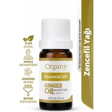 Isıtıcı Etkili Zencefil Yağı %100 Doğal Sıcak Baharatlı Masaj Yağı Ginger Essential Oil 10 ml