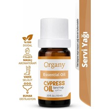 Kas Krampları Için Servi Yağı %100 Doğal Masaj ve Vücut Bakım Yağı Cypress Essential Oil 10 ml