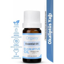 Okaliptus Yağı %100 Doğal Temiz Hava Aromaterapi Yağı Eucalyptus Essential Oil 10 ml
