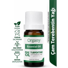 Saç Dökülme Karşıtı Çam Terebentin Yağı %100 Doğal Saç Derisi Bakım Yağı Pine Turpentine Essential Oil 10 ml