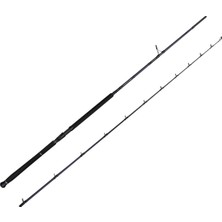Savage Gear Defiance Sg2 Shore Jig 2.90M 50-120GR 2 Parça Olta Kamışı