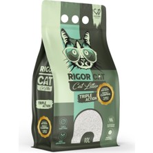 Rigor Cat Kedi Kumu