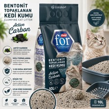 Flexi For Aktif Karbonlu Bentonit Topaklanan Premium Kedi Kumu 10 L - Tozsuz - Ultra Koku Emici