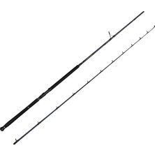 Savage Gear Defiance Sg2 Shore Jig 3.05M 60-150GR 2 Parça Olta Kamışı