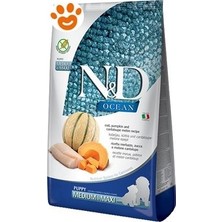 N&D Ocean Balkabaklı Morina Balıklı Kavunlu Yavru Köpek Maması 12Kg
