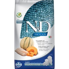 N&D Nd Ocean Morina Puppy Med&Maxi Tahılsız Köpek Maması - 2.5 Kg