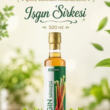 Aksu Vital Işgın Kökü Sirkesi 500 ml