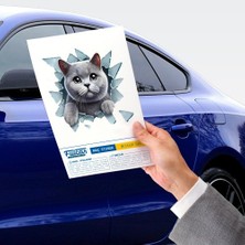 Ozcmax Fulcar British Araaç Stickerı