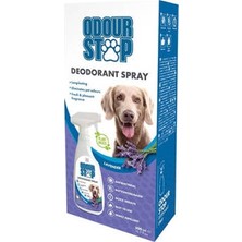 Zemira Home Koku Giderici Lavantalı Köpek Deodorantı 500 ml