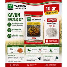 Tarmen Kırkağaç 637 Kavun Tohumu 10 gr + 100 gr  Gübre Hediyeli Yerli Üretim