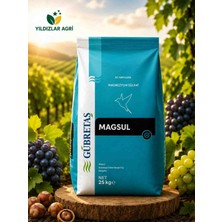 Gübretaş Magsul 25KG (Magnezyum Sülfat) - BBG