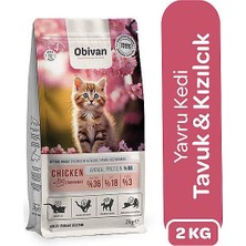 Obivan Kitten Tavuklu ve Kızılcıklı Yavru Kedi Maması 2 kg