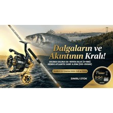 Navitek Trofe Avcısı Master Surf Casting Seti Okuma Salina SA-8000A + Kendo Atlantic Surf 4.20M (100-250GR) Kendo X-12+1 300M Ip
