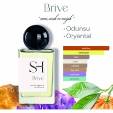 Sh Fragrances Brive Edp Erkek Parfüm | Aromatik-Odunsu | Narenciye Açılış | Sedir-Deri-Aamber, 50ML